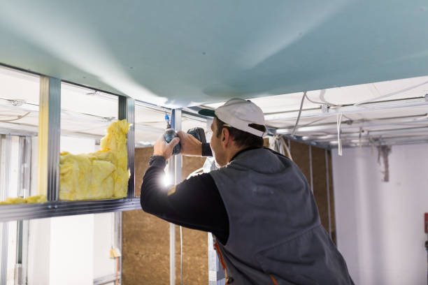 Best Insulation Contractor Near Me  in Culpeper, VA