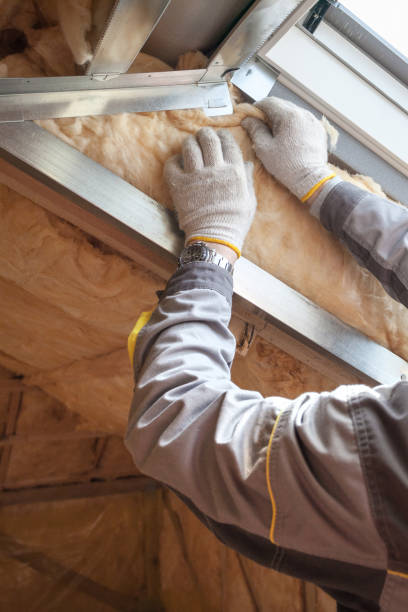 Best Insulation Repair Services  in Culpeper, VA
