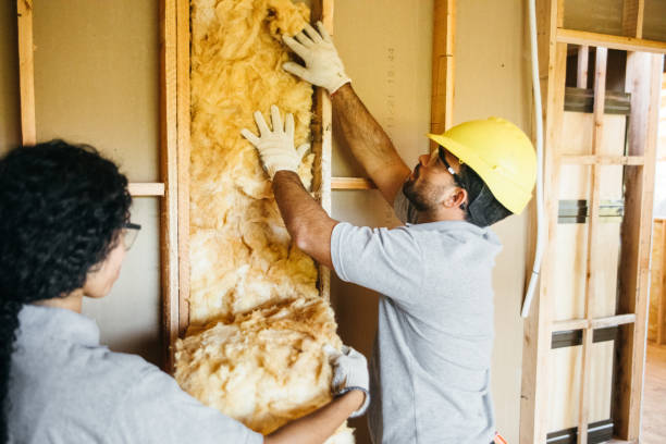 Best Local Insulation Services  in Culpeper, VA