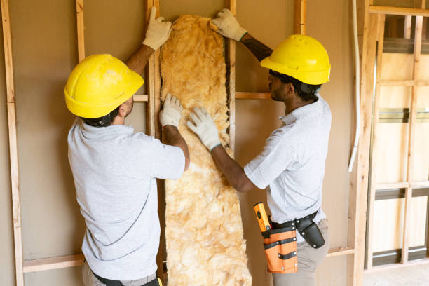 Best Best Insulation Companies  in Culpeper, VA
